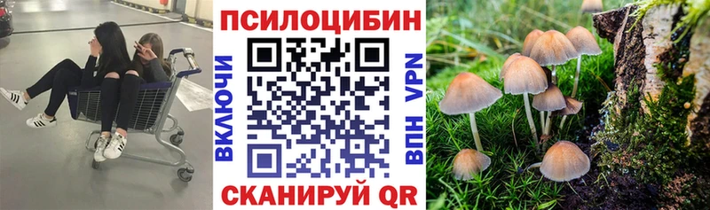Купить  Княгинино  Псилоцибиновые грибы мухоморы 