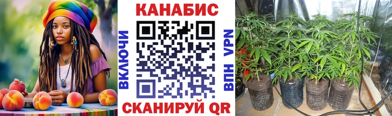 МАРИХУАНА AK-47  Купить закладки  Княгинино 